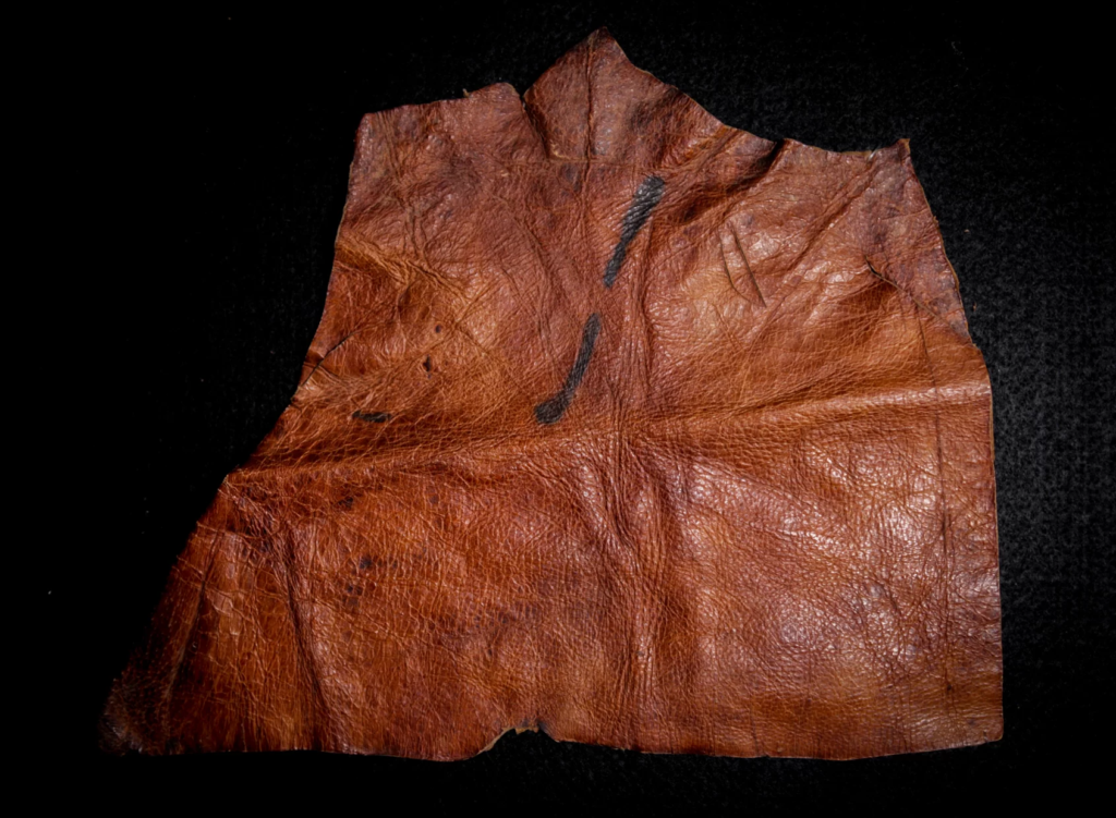 Wild West - Hutchings Museum Institute human leather